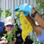 Trabaja la J+ en reparación de hundimiento en Colector Candelaria 6 44de15ed 8eec 4259 8307 43e755721a69