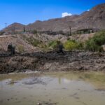 493a7989 0397 4191 8a64 b8d4e5590c14