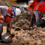 5297945e 16b2 4777 980d b558ebf40f30