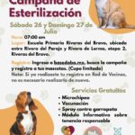 687fc47dcd584 687fc47dcd586