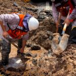 71957597 10f2 458c aa00 8d622f67e584