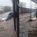 WhatsApp Image 2025 06 30 at 22.51.50