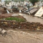 WhatsApp Image 2025 06 30 at 22.51.51 1