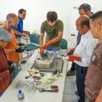 WhatsApp Image 2025 07 06 at 11.33.44 1