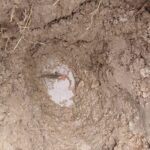 Reinciden en toma clandestina por adeudo de más 200 mil pesos 1 WhatsApp Image 2025 07 15 at 12.42.30 1