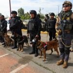 WhatsApp Image 2025 07 16 at 13.12.58