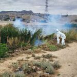 Previenen proliferación de mosquitos Ciudad Juárez con nebulizaciones 1 WhatsApp Image 2025 07 16 at 14.07.17