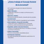 WhatsApp Image 2025 07 17 at 13.20.24 1