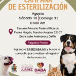 68b0802fa0bc7 68b0802fa0bc8