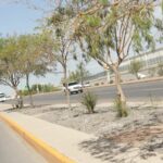 68b32a0fa0fae 68b32a0fa0faf