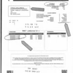 WhatsApp Image 2025 08 04 at 15.37.10