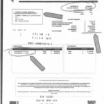 WhatsApp Image 2025 08 04 at 15.37.52