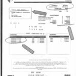 WhatsApp Image 2025 08 04 at 15.37.53