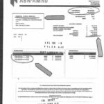 WhatsApp Image 2025 08 04 at 15.38.02