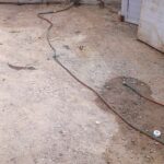 WhatsApp Image 2025 08 04 at 16.01.10