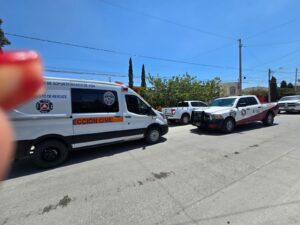 WhatsApp Image 2025 08 08 at 12.55.18