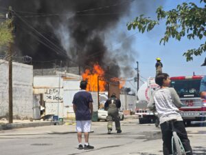 WhatsApp Image 2025 08 08 at 12.55.19 2