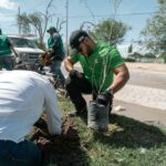 WhatsApp Image 2025 08 08 at 14.47.37