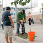 WhatsApp Image 2025 08 08 at 14.47.45