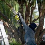 WhatsApp Image 2025 08 09 at 12.54.36