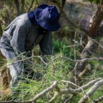 WhatsApp Image 2025 08 09 at 12.54.37 1