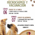 68b9f59305914 68b9f59305915