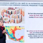 WhatsApp Image 2025 09 29 at 12.53.24 1