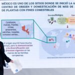 WhatsApp Image 2025 09 29 at 12.53.25