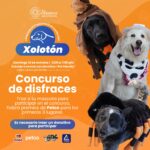 No te pierdas el “Xolotón” en La Rodadora 1 68dea46bc5640 68dea46bc5641
