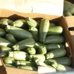 Recibió Desarrollo Rural equipo industrial para continuar mejorando las condiciones del campo 3 68e3f3b504ea1 68e3f3b504ea2