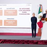 WhatsApp Image 2025 10 14 at 12.54.18