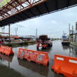 f4425a99 e185 4afe b65d 1ed5a2934788