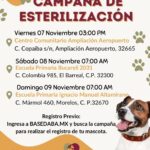 690fab8c0654b 690fab8c0654c