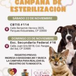 691cbf57e4a1d 691cbf57e4a1f