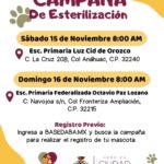 Esterilizará DABA este fin de semana a mascotas en las colonias Anáhuac y Ampliación Fronteriza 1 Imagen de WhatsApp 2025 11 14 a las 15.43.58 a7782878
