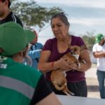 Realiza Partido Verde en Juárez jornada gratuita de salud canina 5 Imagen de WhatsApp 2025 11 15 a las 18.27.10 e46dfa7f