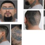 Imagen de WhatsApp 2025 11 26 a las 12.45.21 092bc26b