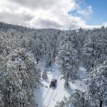 90766bd5 e2b1 4538 86c2 e56d52b83946