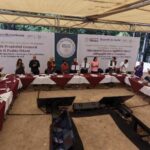 Imagen de WhatsApp 2025 12 13 a las 14.21.38 0a602048