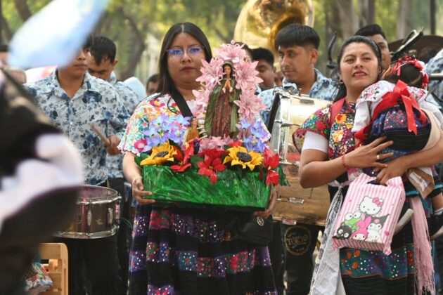 WhatsApp Image 2025 12 12 at 13.49.29