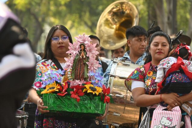 WhatsApp Image 2025 12 12 at 13.49.31 1