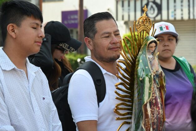 WhatsApp Image 2025 12 12 at 13.53.16 1