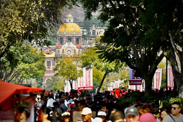 WhatsApp Image 2025 12 12 at 13.53.16