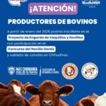 WhatsApp Image 2025 12 30 at 11.44.11 AM