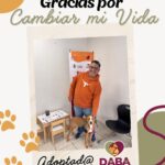 69654e1cb83fb 69654e1cb83fc