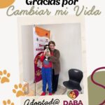 69654e1cbaf6e 69654e1cbaf6f