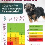 6973d4911a987 6973d4911a988