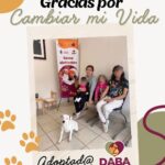 6973f01eec885 6973f01eec886