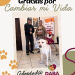 6973f01eeedf7 6973f01eeedf8