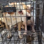 697a7cf21b3e3 697a7cf21b3e4